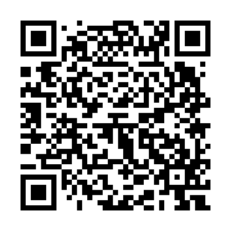 QR code for plate RAA 697