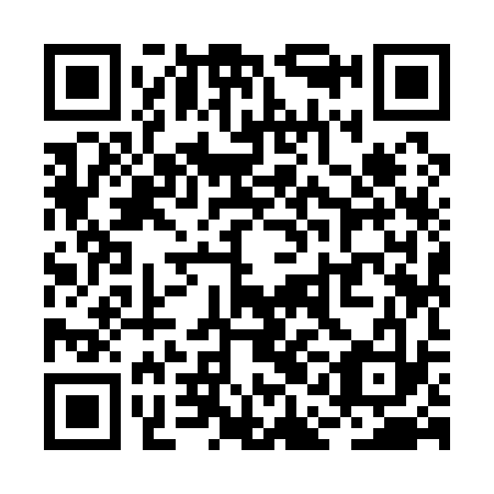 QR code for RAI133