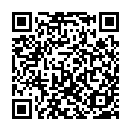 QR code for RAQ 381