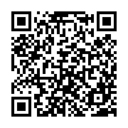 QR code for RAY 486