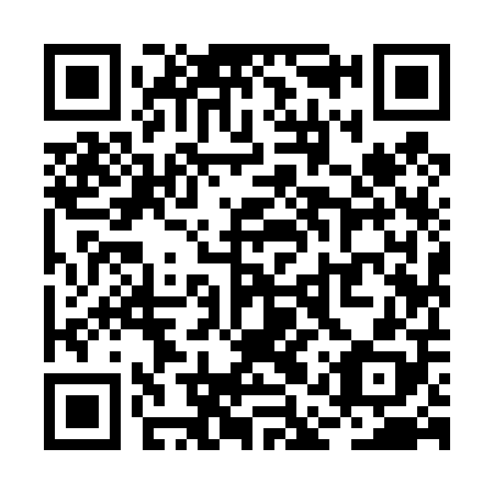 QR code for plate RAY 408