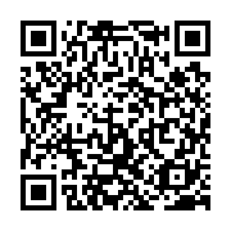 QR code for RAY770