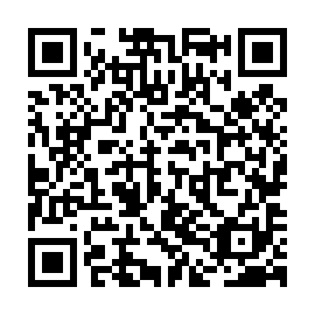 QR code for plate RDN 491