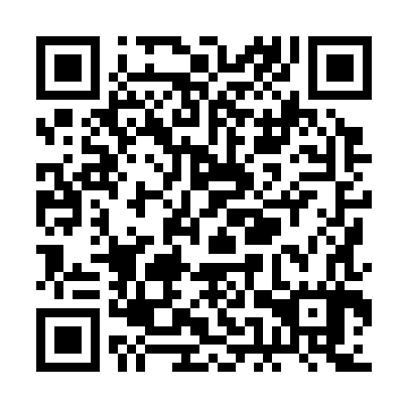QR code for REX387