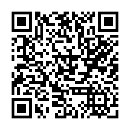 QR code for plate RII 346