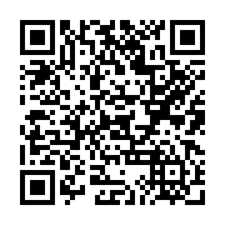 QR code for plate RIJ 384