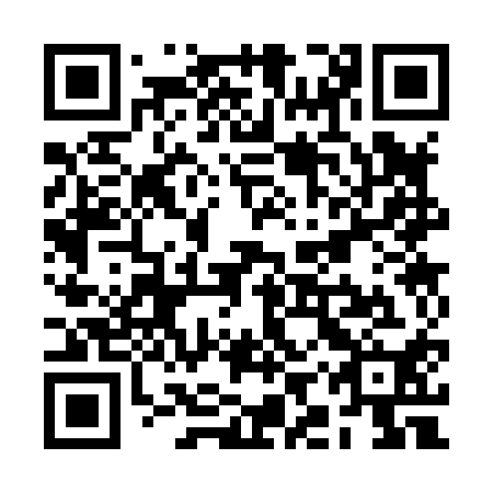 QR code for RIS 810