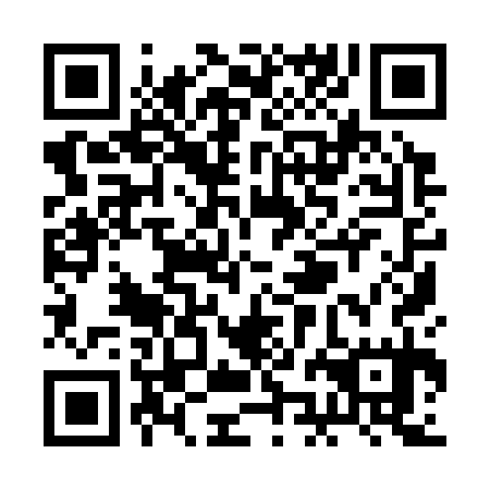 QR code for plate RJI 335