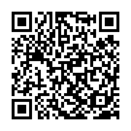 QR code for plate RJZ 611