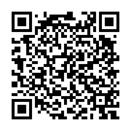 QR code for plate RKQ 450