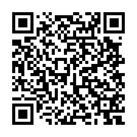 QR code for plate RLR 050