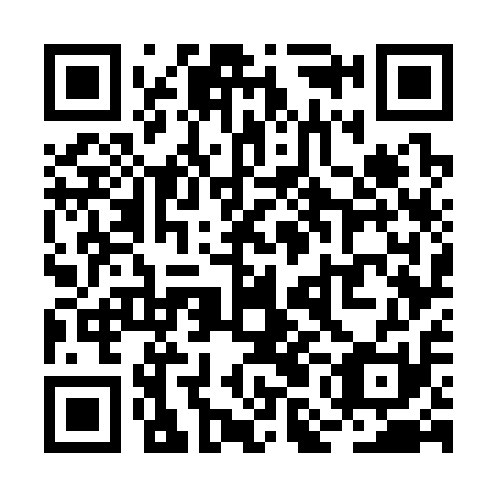 QR code for RMG311