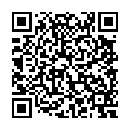 QR code for plate RMP 096