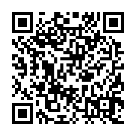 QR code for plate RNS 314