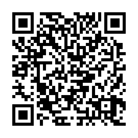 QR code for plate ROJ 328