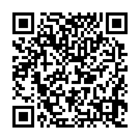 QR code for RON 377