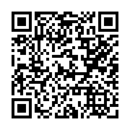 QR code for plate ROW 919