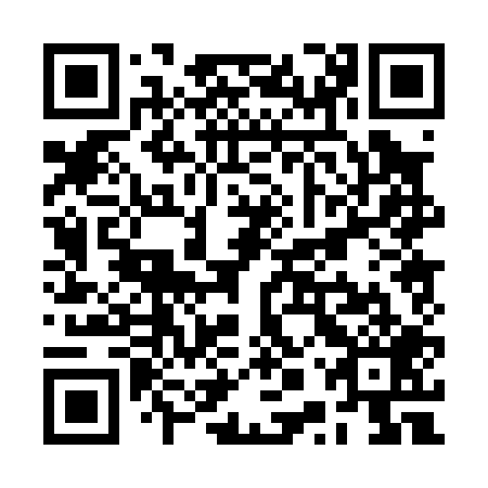 QR code for RPP 009