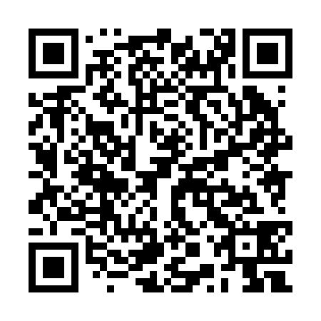 QR code for plate RPX 238