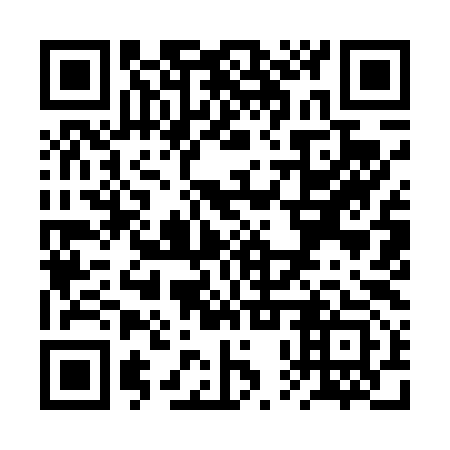 QR code for plate RPY 493