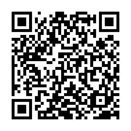 QR code for plate RSI 523