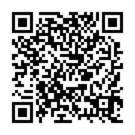 QR code for RSX 210
