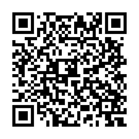 QR code for plate RUS 543