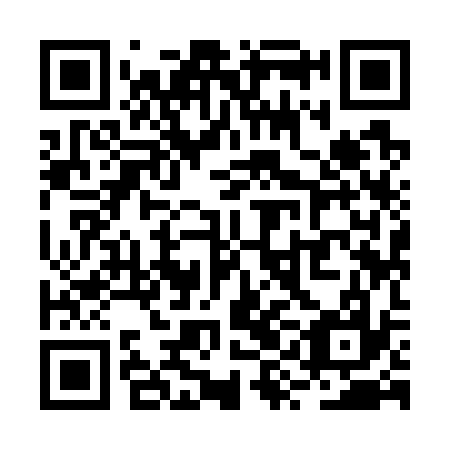 QR code for RYI 737