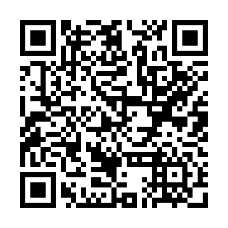 QR code for plate SAI 346