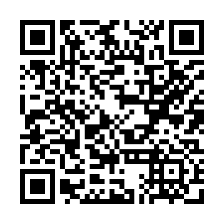 QR code for plate SAN 933