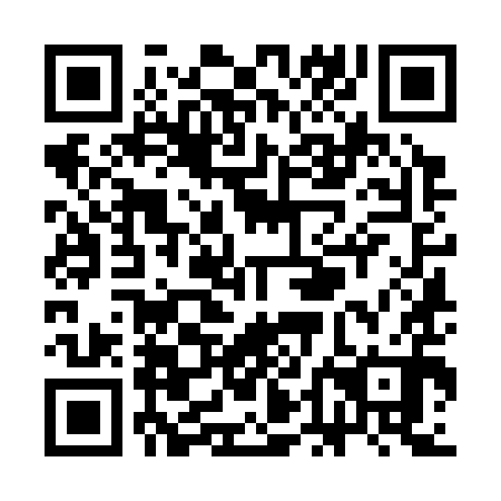 QR code for SDK 390