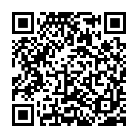 QR code for SDK 393