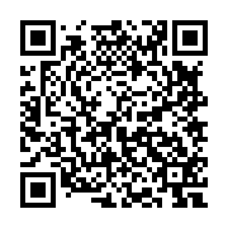 QR code for plate SFJ 813