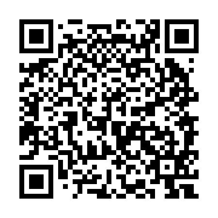 QR code for SFN 295