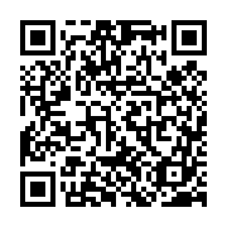 QR code for SGF 463