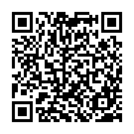QR code for SGI 386