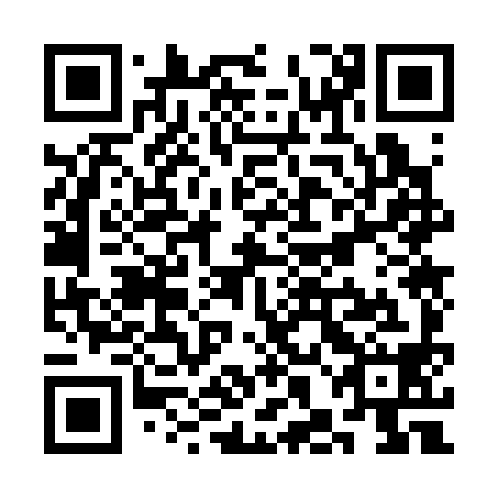 QR code for SHO398