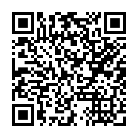 QR code for SIA 308