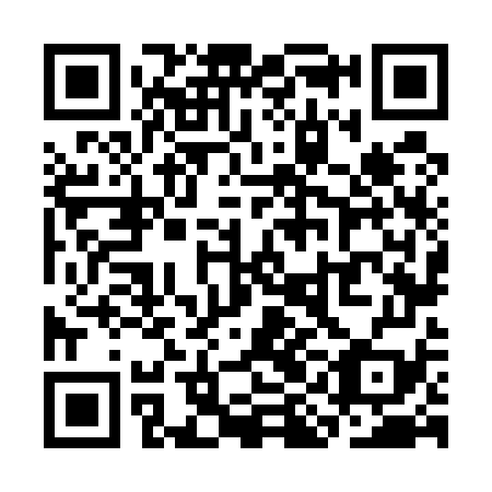 QR code for SIN579
