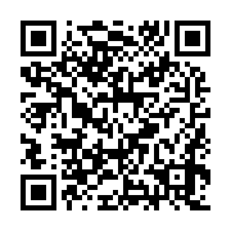 QR code for SIN978