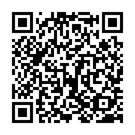 QR code for SJN 389