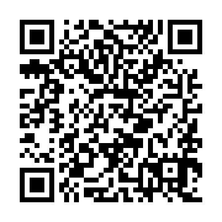 QR code for SND 595