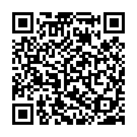 QR code for SPI 499