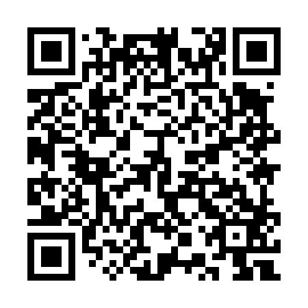 QR code for SPY483