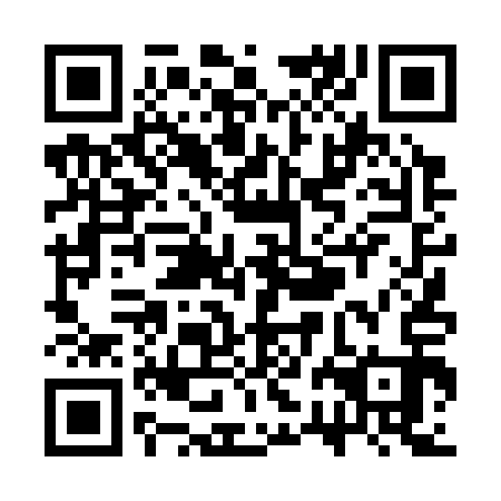 QR code for SRD 313