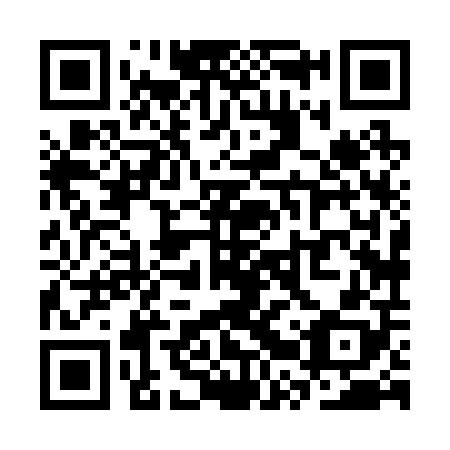 QR code for plate SRX 208
