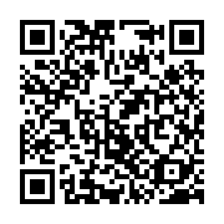 QR code for SSI 229