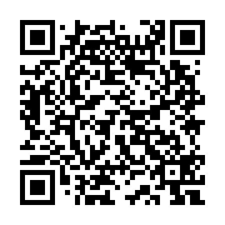 QR code for SSI 719
