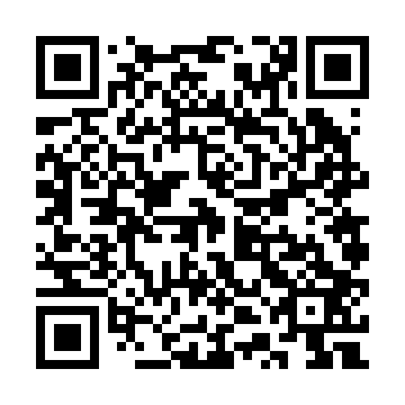 QR code for plate STF 203