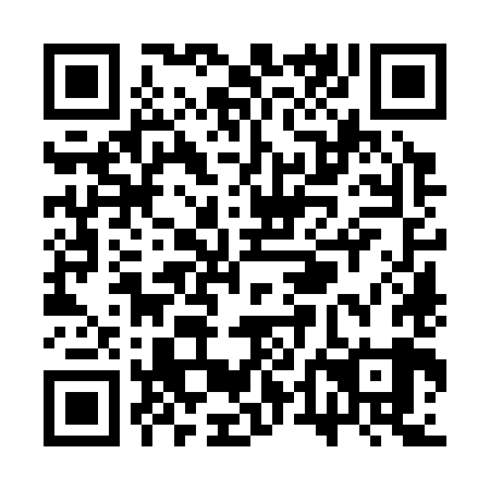 QR code for STO 389